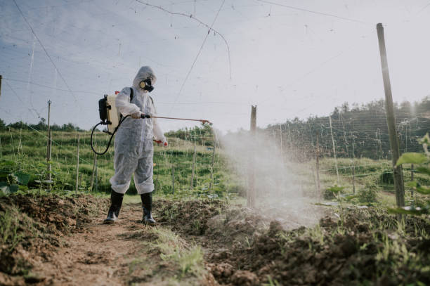 Best Pest Removal Services  in Milbank, SD