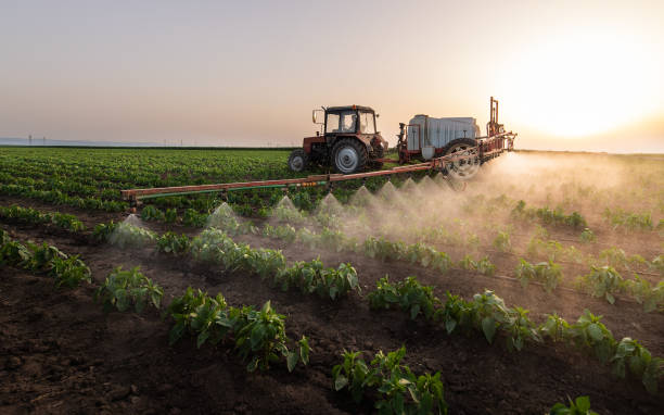 Best Pest Inspection Near Me  in Milbank, SD