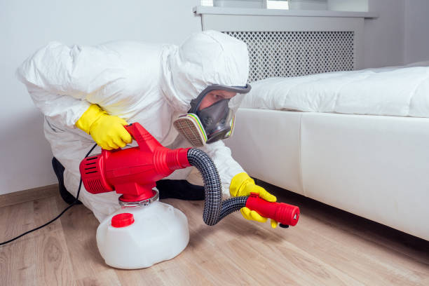 Best Affordable Pest Control Services  in Milbank, SD