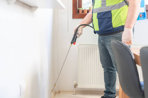 Best Flea Control Services  in Milbank, SD