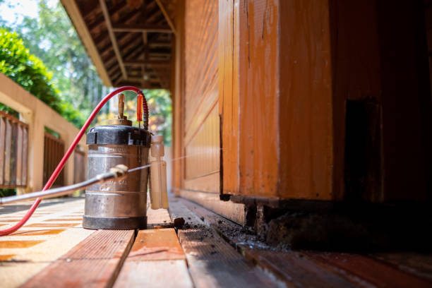 Best Cockroach Control Services  in Milbank, SD