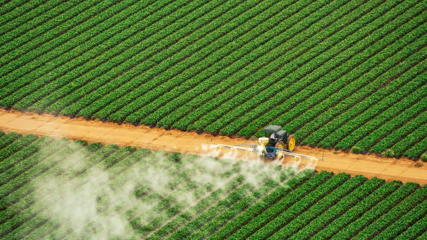 Professional Pest Control in Milbank, SD