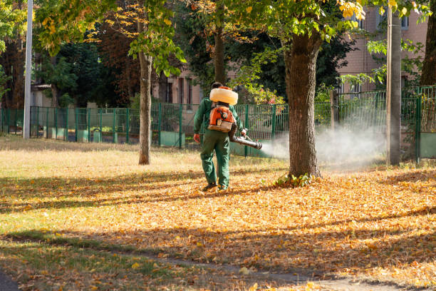 Best Best Pest Control Companies  in Milbank, SD