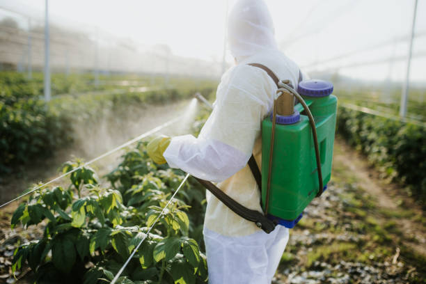 Best Emergency Pest Control  in Milbank, SD
